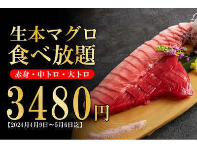 【生本マグロ食べ放題3480円】生本マグロの"赤身・中トロ・大トロ"食べ放題と料理5品がついた生本マグロ...