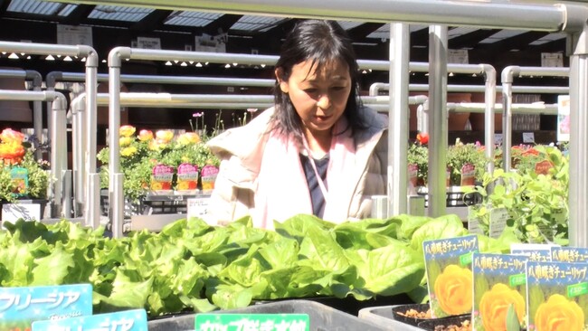 【ＢＳ日テレ】財前直見の番組プロジェクト始動！都内ベランダでプランター菜園にチャレンジ【なおみ農園】