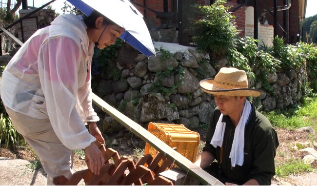 【BS日テレ】財前直見さんの自然派ライフスタイルに完全密着!竹から手作りの流しそうめんで夏を満喫 9月4日(木)よる10時放送