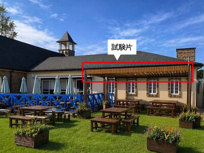 �u�����݂͂�Ëv��Y�ށv�̑ό󐫎��؎����̎��{