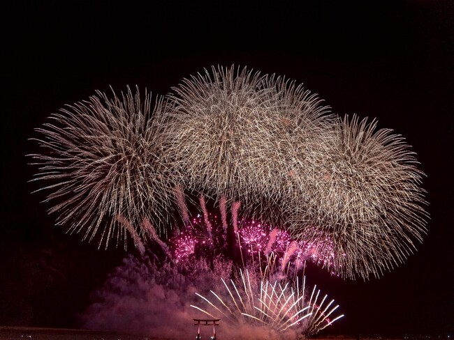 『24時間テレビ48-愛は地球を救う-』の「バリアフリー花火」企画に日本青年会議所が全面協力