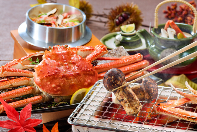 たこやん 11本セット カニ柄 蓄光 夜光 たこやん 11本セット カニ柄