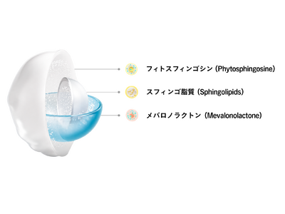 「Anua」のオープンイノベーションが拓く次世代バリアケア。KAIST共同開発の独自処方「ML3 プレカーサー(TM)*」の全貌を公開