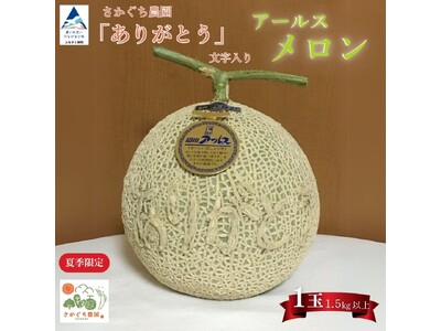 《数量限定》感謝の気持ちを込めたサプライズプレゼントに！坂口農園 「ありがとう」の文字入りメロンが小松市のふるさと納税返礼品に登場