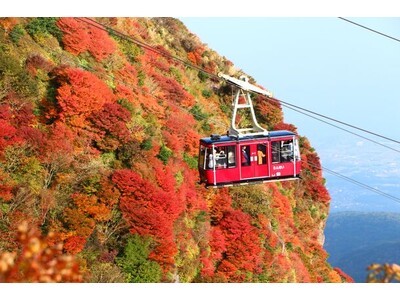 [長崎県雲仙市]事前予約制の紅葉狩り！？