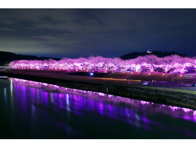 株式会社ユーメディアが参画する「宮城創生DMO」が、12/15～17に白石川堤一目千本桜を舞台に体験型の観光コンテンツを実施します。