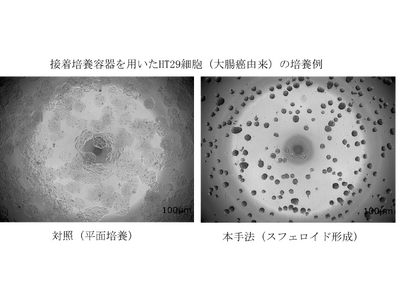 ３次元細胞培養向け研究用試薬「Kuni-Grow+」販売開始のお知らせ