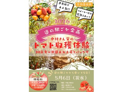 【茨城県五霞町】大人気のトマト収穫体験がふるさと納税の返礼品に！