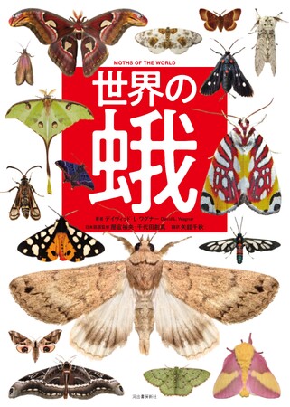 多様で、美しく、驚異的な生態】世界の蛾類105 分類を網羅。最新の知見