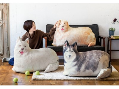 わが家に大型犬が登場！「大きなワンコの布団収納クッションケース」が