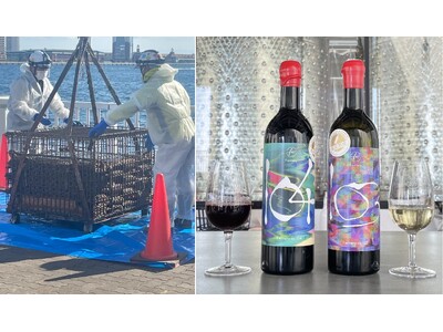 神戸港で海底熟成したワインの引き上げ公開イベントを4月10日13時～フェリシモ「f winery」が開催、海底熟成ワイン引き上げを記念し特別価格で販売