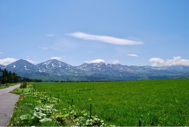 花咲き誇る富良野：ノゾホテルがガイドする初夏の北海道