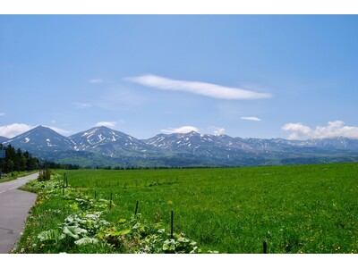 花咲き誇る富良野：ノゾホテルがガイドする初夏の北海道