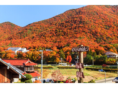 秋の丹波篠山で器と食を楽しむ「丹波焼陶器まつり　秋の郷めぐり」開催