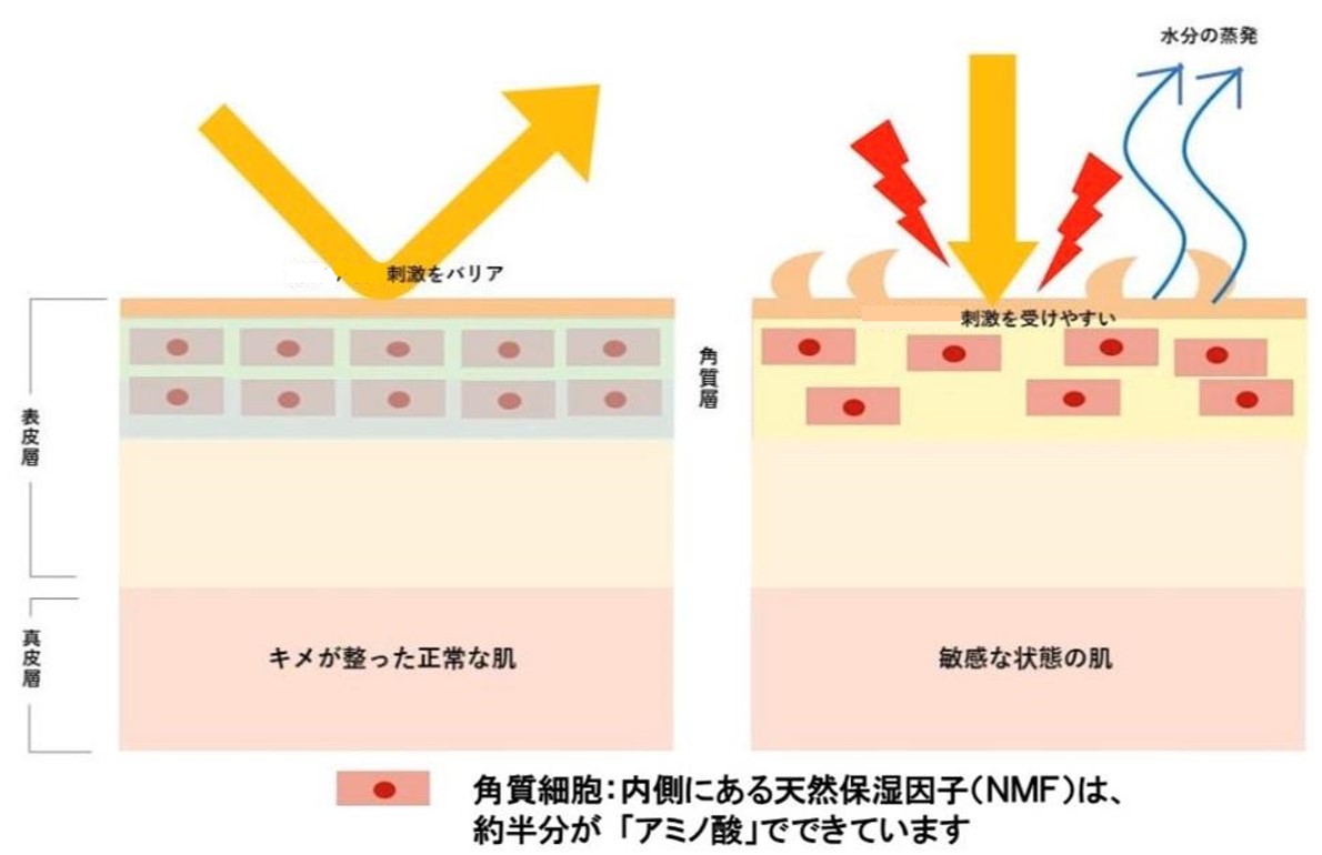 敏感肌向けシートマスク最多※1アミノ酸系成分20種類配合　一時的な敏感肌のための『５LANC(ファイブランク)　ヴェールバリア アミノマスク』2019年10月10日新発売