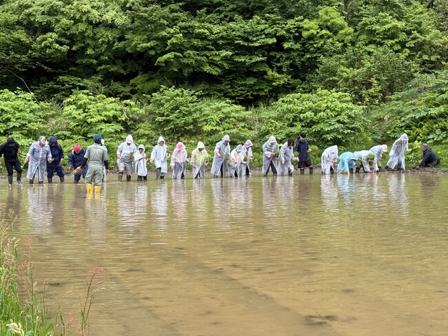 株主様向け田植え体験イベントを新潟県「星峠の棚田」で初開催