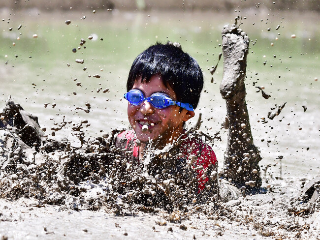 日本の美しい棚田と、そこに息づく生態系・人々の営みを未来へ。「第2回 日本の棚田フォトコンテスト」開催決定!