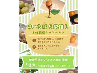 【千葉県市原市】SNS投稿で市内産梨が当たる！週末のおでかけは梨の直売所へ🍐