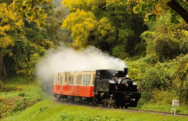 【千葉県市原市】"関東一遅い紅葉”を楽しむ「トロッコ列車で行く！観光ガイドと歩く紅葉の養老渓谷ハイキング」開催