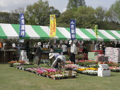 【千葉県市原市】第42回　市原市園芸まつりを開催