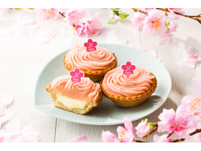 チーズタルト専門店パブロ【新商品】桜シーズンが待ちきれない！「PABLO mini さくらもち」が登場します。