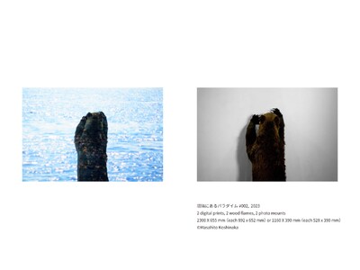 越中正人「剥製 パラダイム」展
