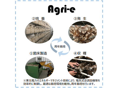 秋田県内における「菌床しいたけ生産事業」への参画について~エネルギー・ソリューションを通じ、地域ブランド...