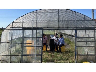 �o�^��16���l�̔_�ƌnYouTuber�u�O�a�_���v�ƃR���{��������J�I