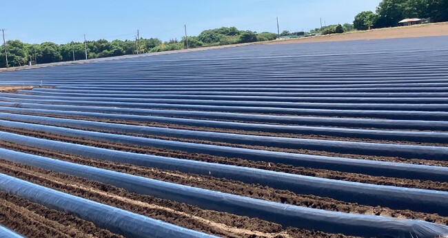 エコプロ2025　日本バイオプラスチック協会ブースにて生分解性マルチフィルムを展示