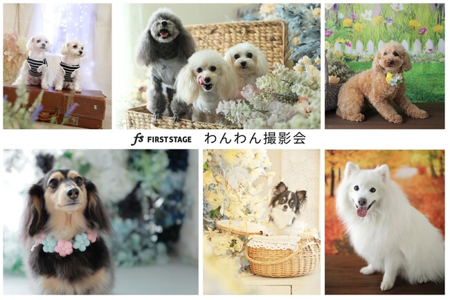 スタジオだから叶う、愛犬との“かけがえのない一枚”。家族の今を、写真というカタチで残す「わんわん撮影会」を順次全店舗にてスタートいたします。