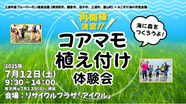 【再開催！】三浦半島4市1町ブルーカーボンプロジェクト「コアマモ植え付け体験会」
