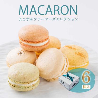 【横須賀市ふるさと納税】「よこすか野菜」の農家と二人三脚で実現！名門ホテル出身のパティシエが作る贅沢マカロン地域の想いをふるさと納税限定の特別セレクションで
