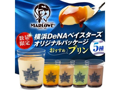 【横須賀市ふるさと納税】あなたの寄附が、横浜DeNAベイスターズと横須賀の未来をつくる。ふるさと納税限定...