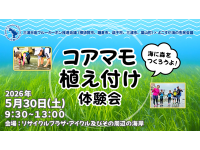 三浦半島4市1町ブルーカーボンプロジェクト「コアマモ植え付け体験会」開催！