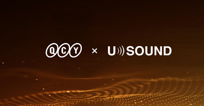 QCY ~ USound̐헪Ig--2025N̎TWSMEMSXs[J[Zp̗p