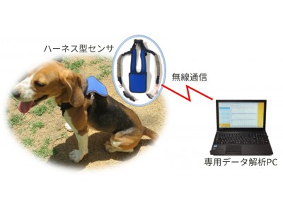 ペット事業者・研究機関対象「犬向けバイタル計測サービス」を開始