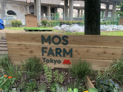 【板橋区×モスバーガー】　高島平緑地で手ぶらで楽しく農業体験！「MOS FARM Tokyo 高島平農園」をオープン！
