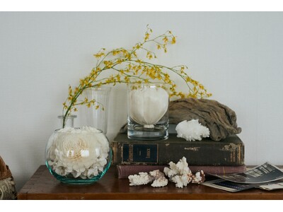 ソラフラワーの人気シリーズがリニューアル発売！ソラの木から生まれた天然ポプリ「SOLA FLOWER」、...