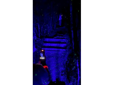 【夏休み限定】ナイトジップライン