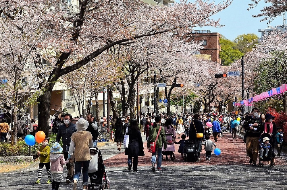 「第53回 文京さくらまつり」を開催します(３月22日（土曜日）から４月６日（日曜日）まで)