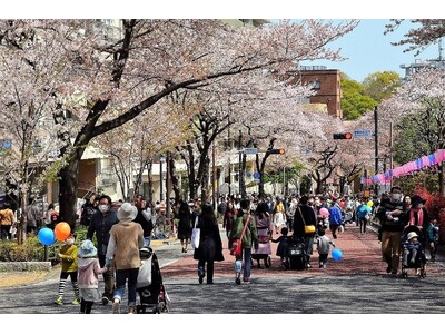 「第53回 文京さくらまつり」を開催します(３月22日（土曜日）から４月６日（日曜日）まで)