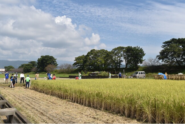 稲穂と土の匂いを感じながら稲刈り体験する沿線の自然に親しむイベント！１０月８日「小田急親子ゼミ＜自然編＞農業体験（稲刈り）」を開催