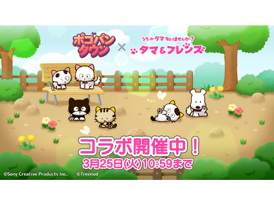 「LINE ポコパンタウン」、『タマ＆フレンズ～うちのタマ知りませんか？～ 』とのコラボレーション開始