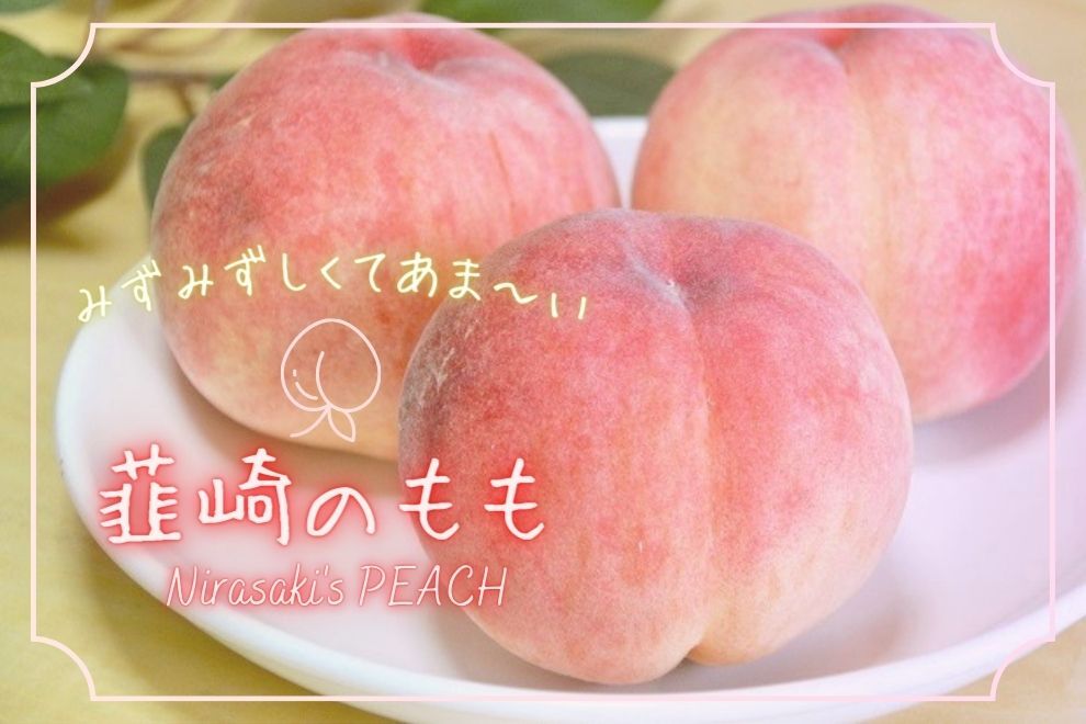 【山梨・韮崎】フルーツ王国から夏の贈り物！圧倒的な甘さとジュー…