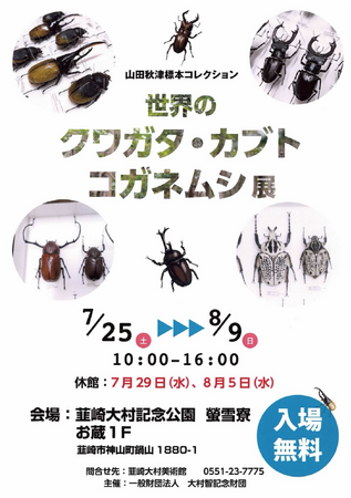 【入場無料】夏休み注目の昆虫展がパワーアップして開催中！韮崎大村記念公園にて「～山田秋津標本コレクション～ 世界のクワガタ・カブト・コガネムシ展」を8月9日(日)まで開催