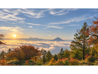 【山梨・甘利山】富士山と雲海、秋色の絶景へ。JR韮崎駅発「甘利山タクシー2026秋便」運行中！