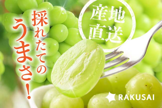 長野県産「至高のシャインマスカット」を産地直送で販売開始～専門店も認める感動の味をご家庭で～