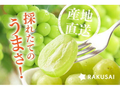 長野県産「至高のシャインマスカット」を産地直送で販売開始~専門店も認める感動の味をご家庭で~