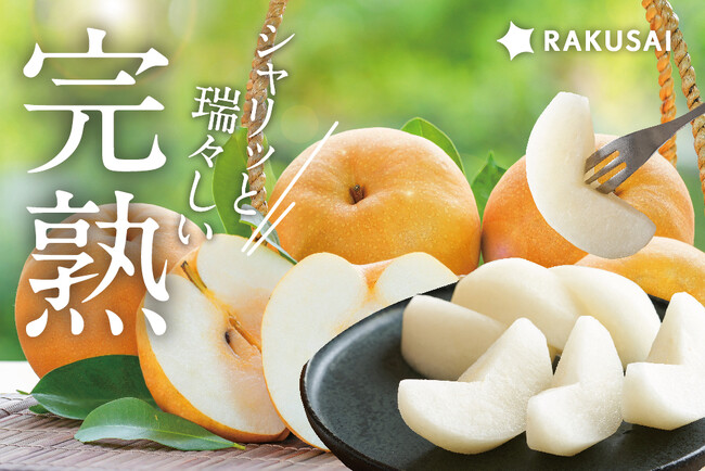 強い甘み！「信州育ちの南水梨」販売開始　~売り切れ続出のRAKUSAIの梨、今年最後~