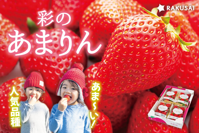 2026年RAKUSAIあまりん販売開始！『矢島農園さんの彩のあまりん』（埼玉県産）